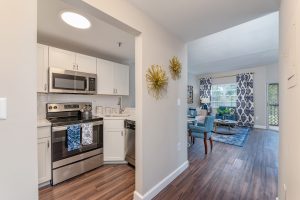 kitchen and living room